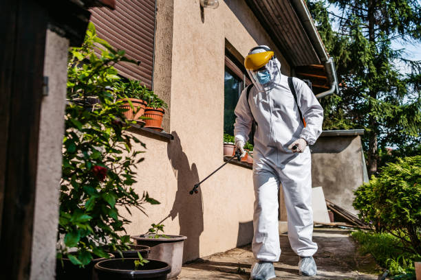 Best Rat Extermination Near Me  in Barrett, TX