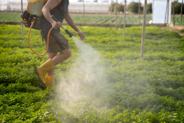 Best Affordable Pest Control Services  in Barrett, TX