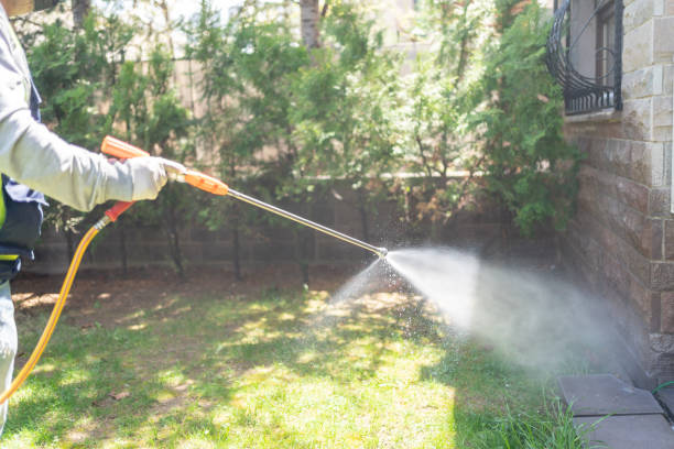 Professional Pest Control in Barrett, TX