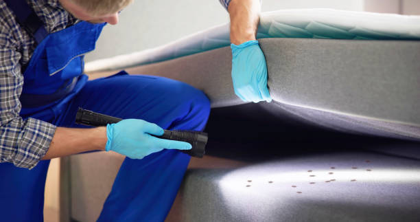 Best Rat Extermination Near Me  in Barrett, TX