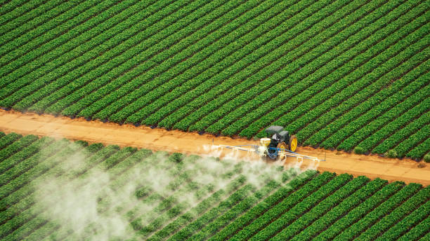 Best Commercial Pest Control Services  in Barrett, TX