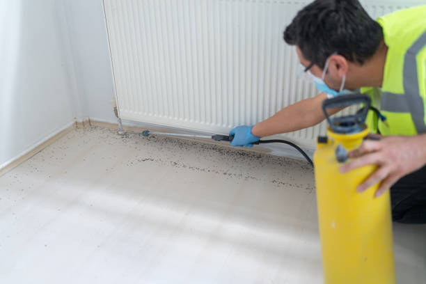Best Pest Control for Homes  in Barrett, TX