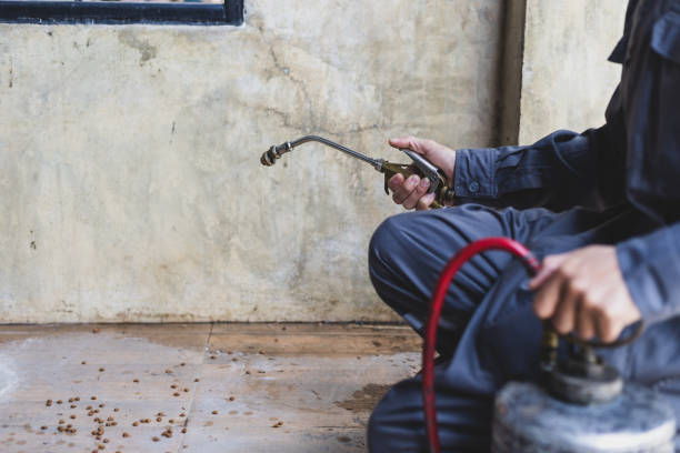 Best Emergency Pest Control  in Barrett, TX